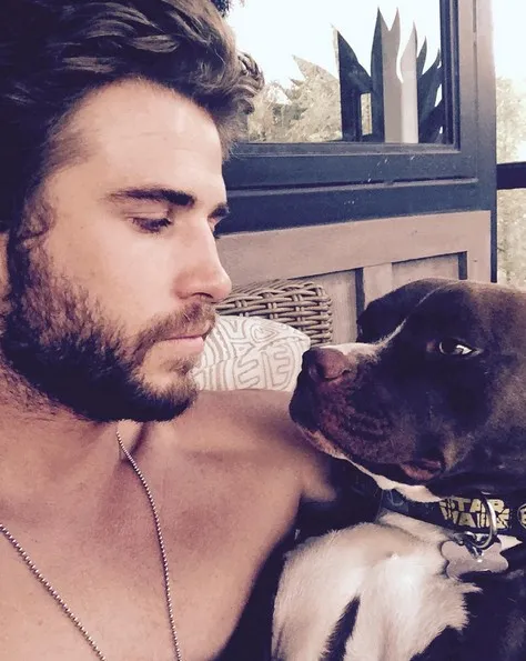 Liam mengaku Tani adalah cinta sejatinya © instagram.com/liamhemsworth