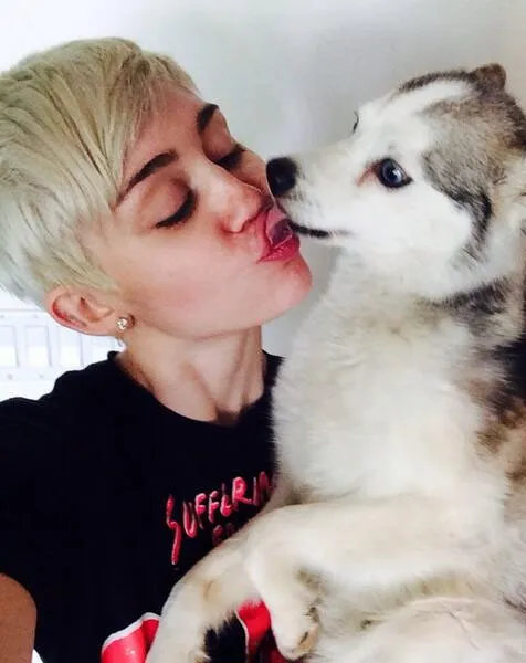 Miley Dan Anjingnya, Floyd @ Twitter.com/MileyCyrus