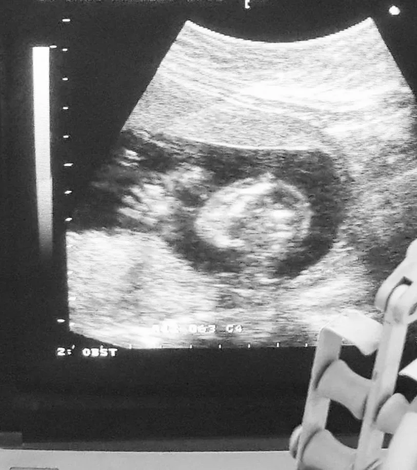 © Instagram/therealmomogeisha