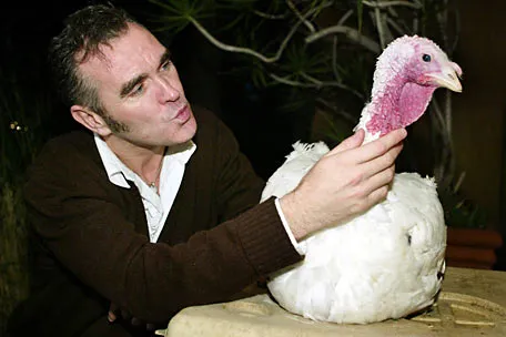 Morrissey sudah menjadi vegetarian sejak usia 11 tahun @www.spinner.com 