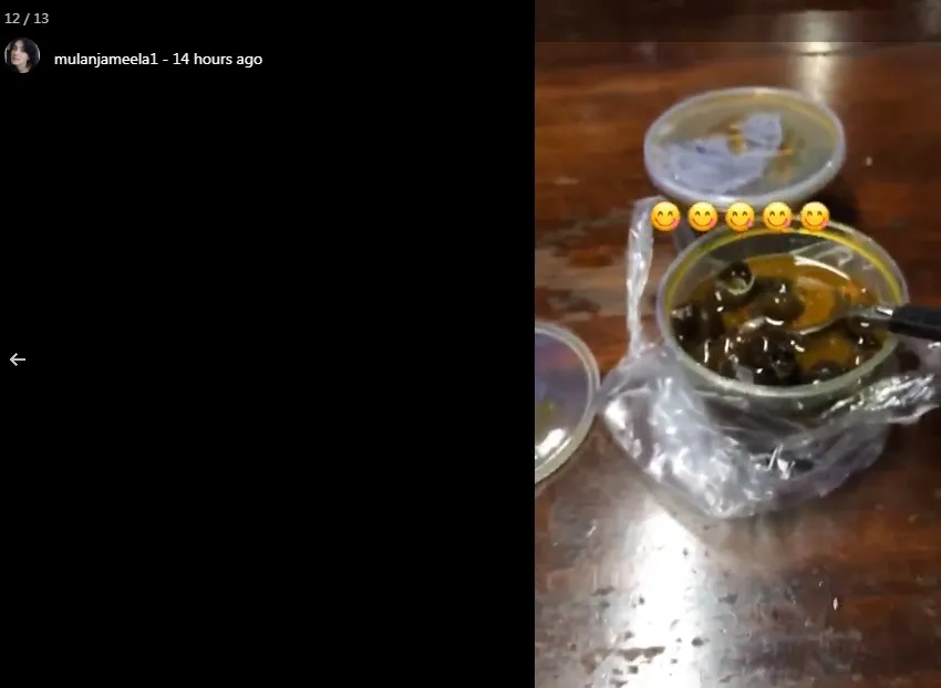 Mulan ternyata suka dengan keong sawah ©instagram/mulanjameela1