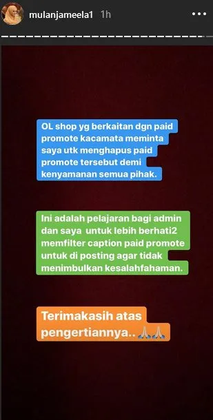 © instagram.com/mulanjameela1