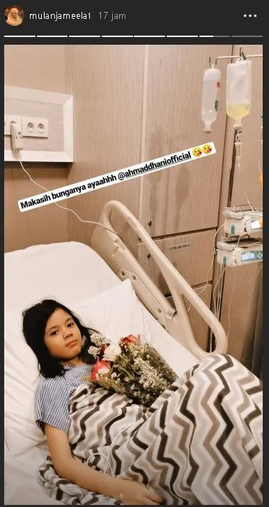 Safeea jatuh sakit © Instagram/mulanjameela1