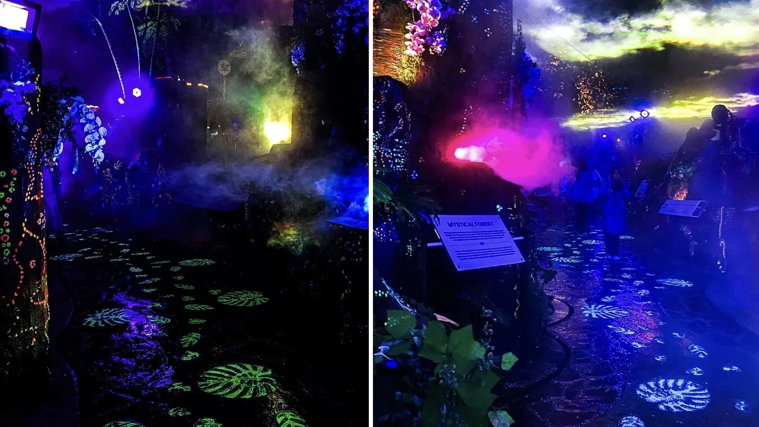 Mystical Forest Dusun Bambu. (Instagram Dusun Bambu)