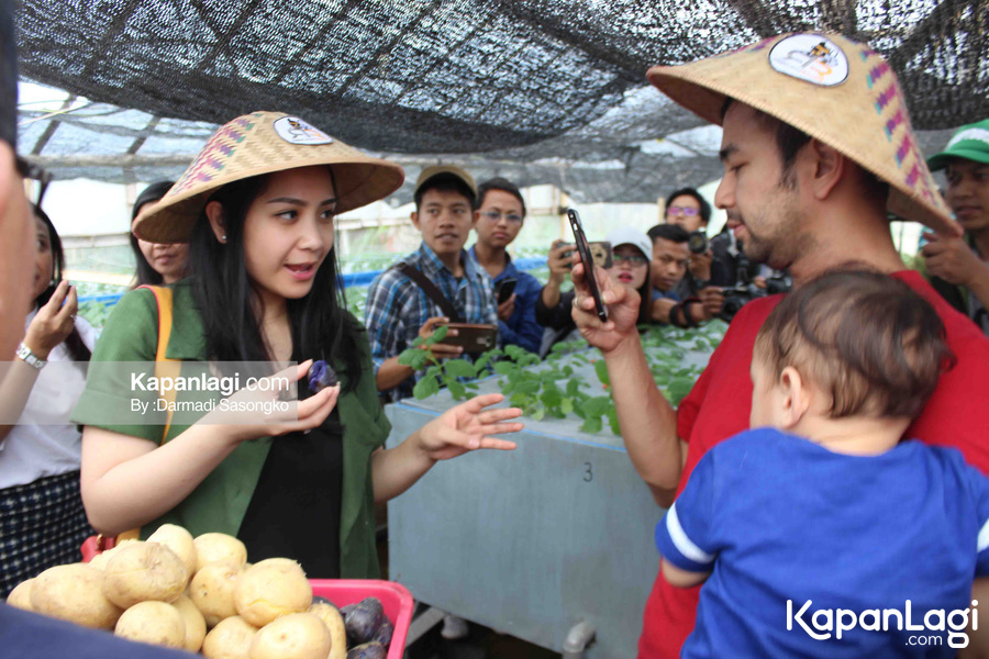 Raffi Ahmad dan Masa Depan Bisnis Keluarga Selebriti 