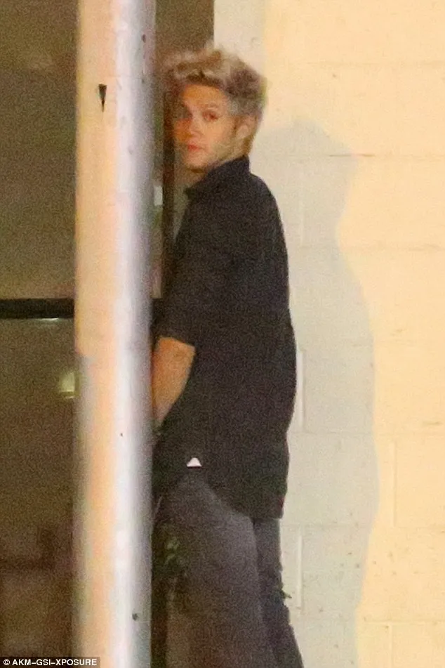 Niall pipis di pinggir jalan, hiii... ©akm-gsi-xposure