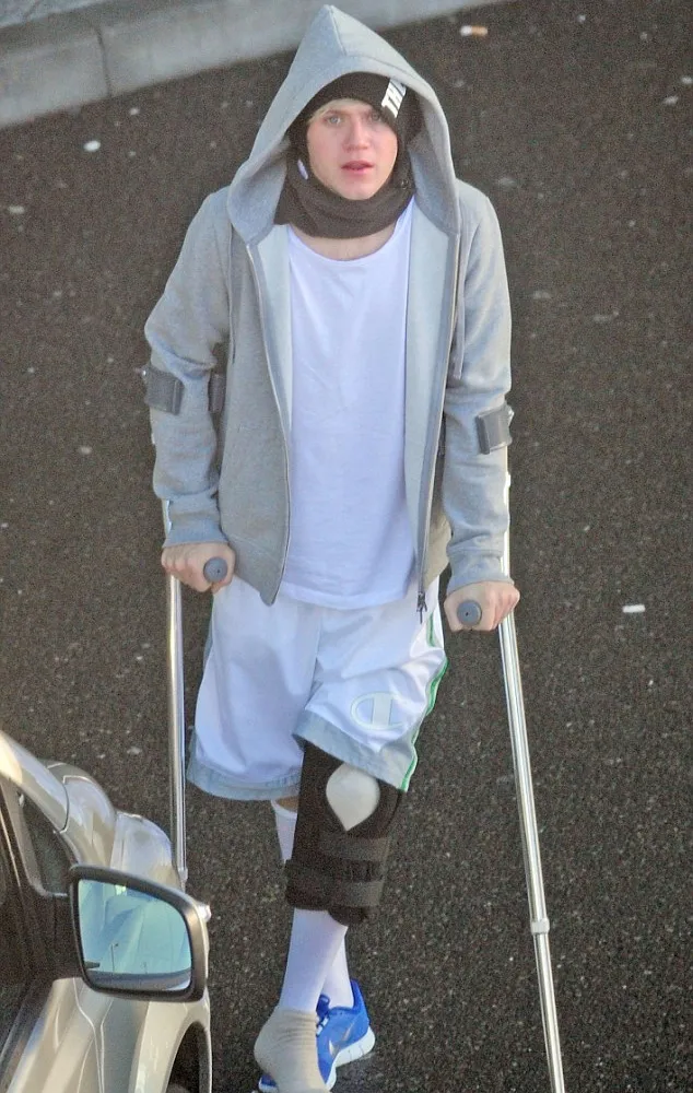 Niall Horan @ dailymail.co.uk