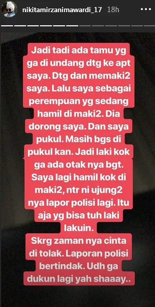 Nikita alami kekerasan ©instagram/nikitamirzanimawardi_17