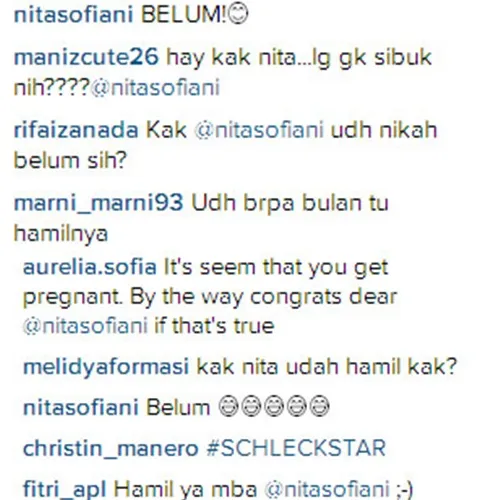 Netizen menghujani pertanyaan yang sama pada Nita © Instagram.com/nitasofiani