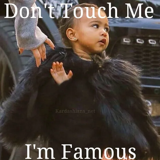 Wajah 'galak' Nori yang dulu selalu jadi meme © istimewa