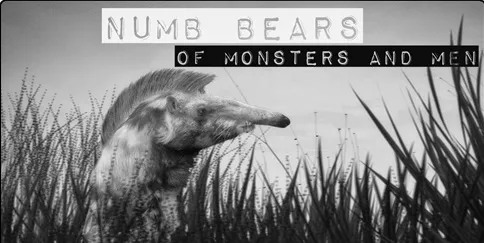 Of Monsters And Men - Numb Bears