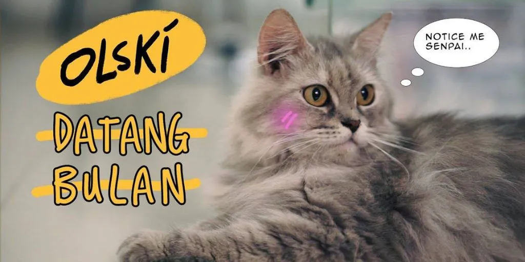 Olski - Datang Bulan