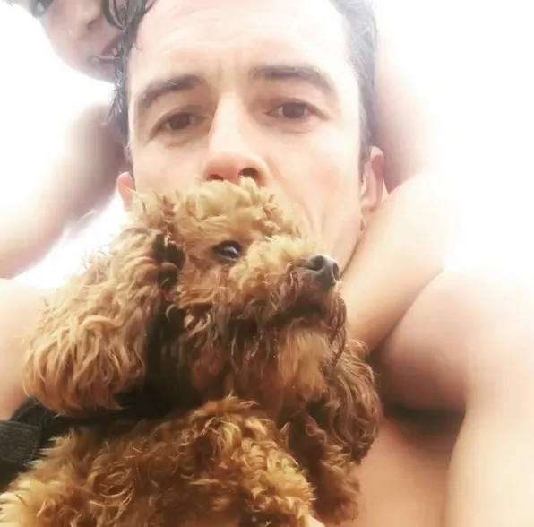 Orlando kebagian tugas untuk merawat Flynn Bloom © Instagram.com/orlandobloom