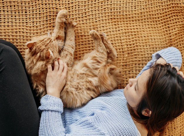 54 Kata-Kata Tentang Kucing Menyentuh Hati, Penuh Makna Mendalam 