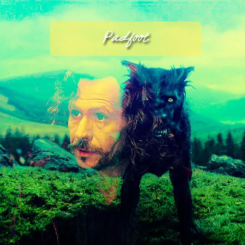 Padfoot