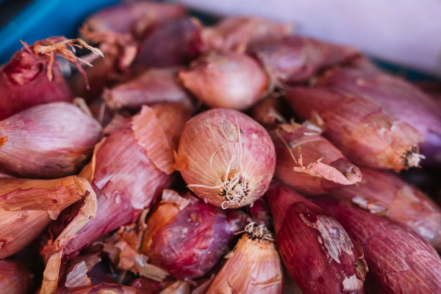 Kulit Bawang Merah. (Gambar: Magnific/Magnific)
