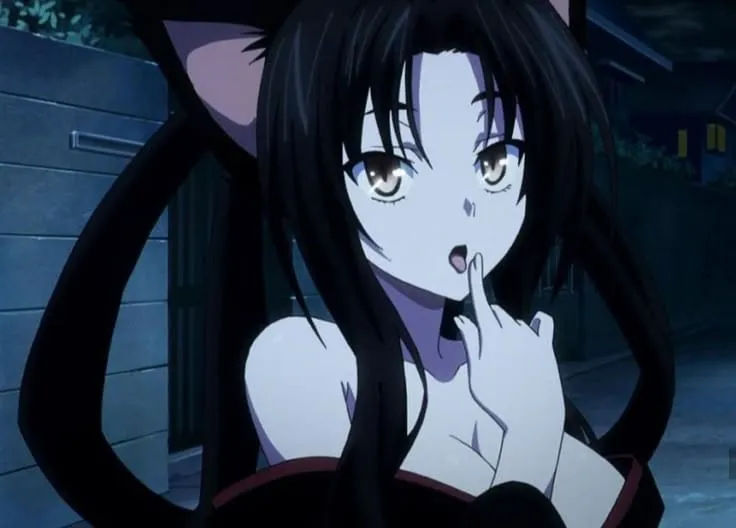 Kuroka (credit: pinterest.com/@lolli)