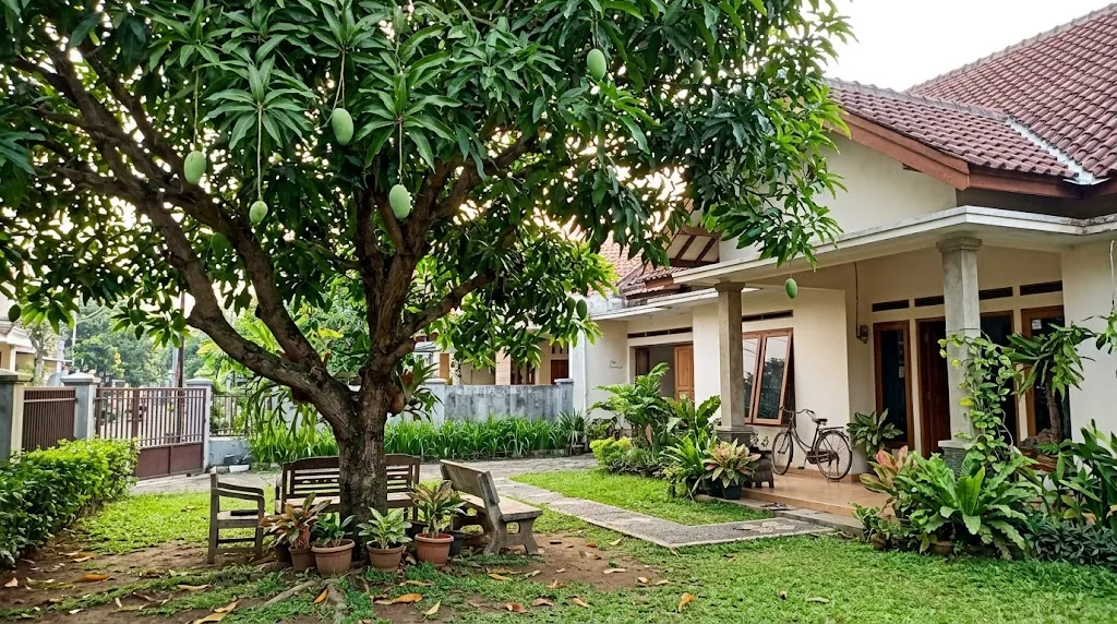 Pohon Mangga (Mangifera indica). (AI Generated)