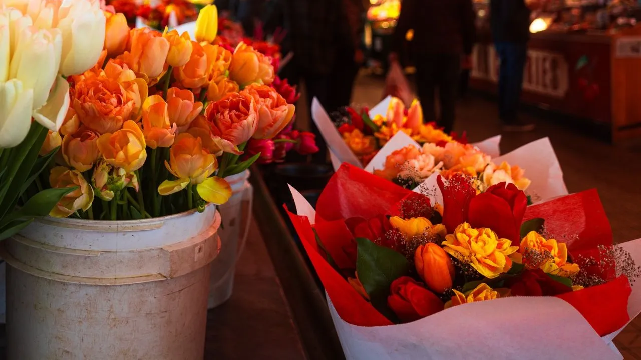 Bunga Tulip untuk Melambangkan Cinta yang Tulus (Pexels)