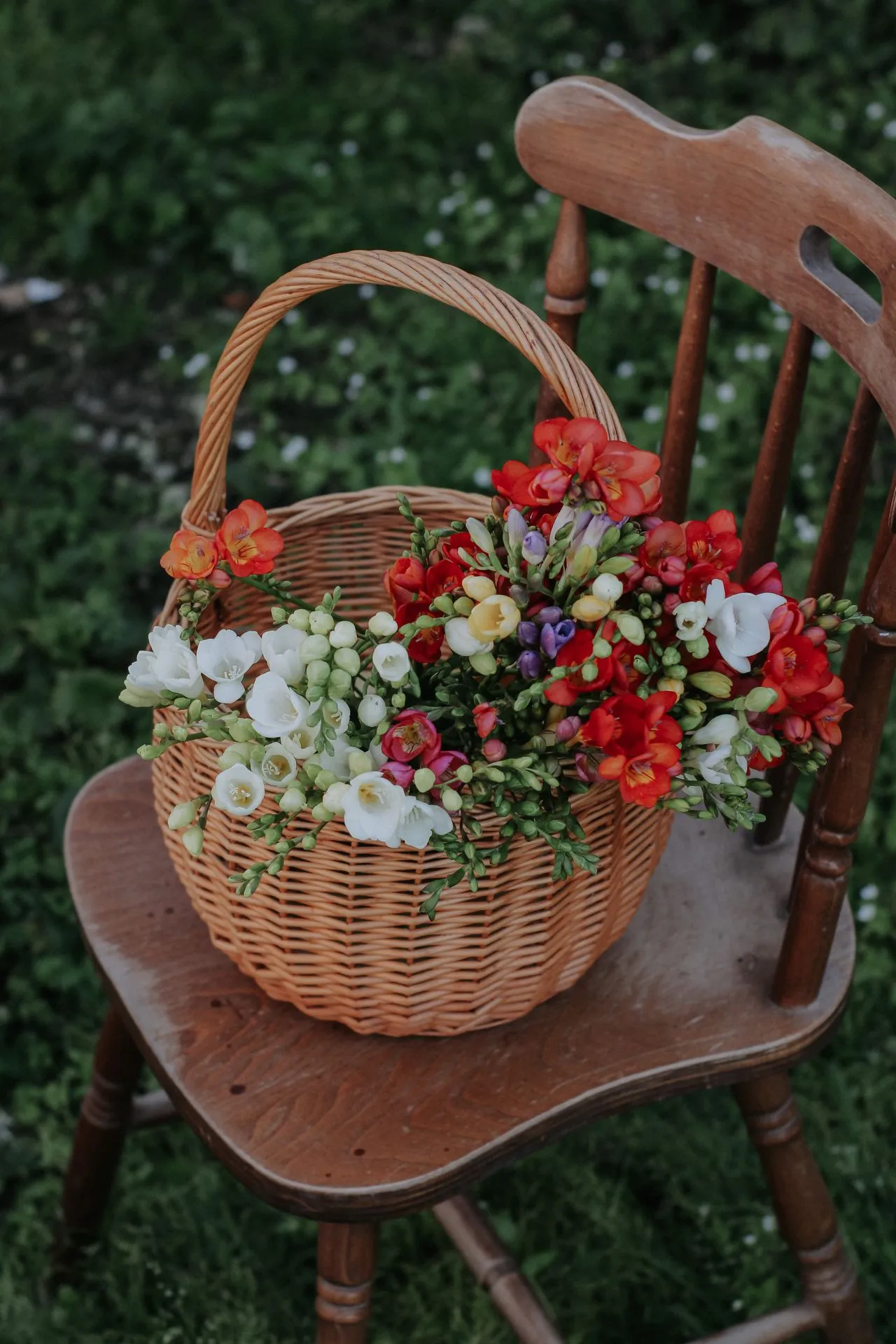 Bunga Freesia untuk Pasangan yang Juga Menjadi Sahabat (Pexels)