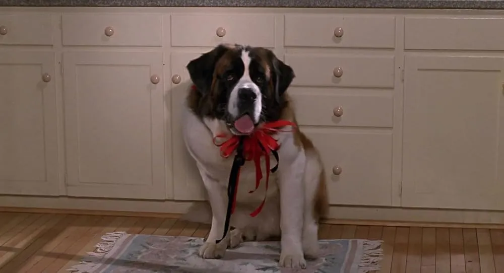Beethoven (1992). (Gambar: IMDb)
