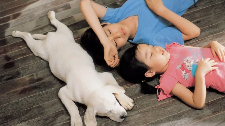 Film Hearty Paws (Image by mydramalist)