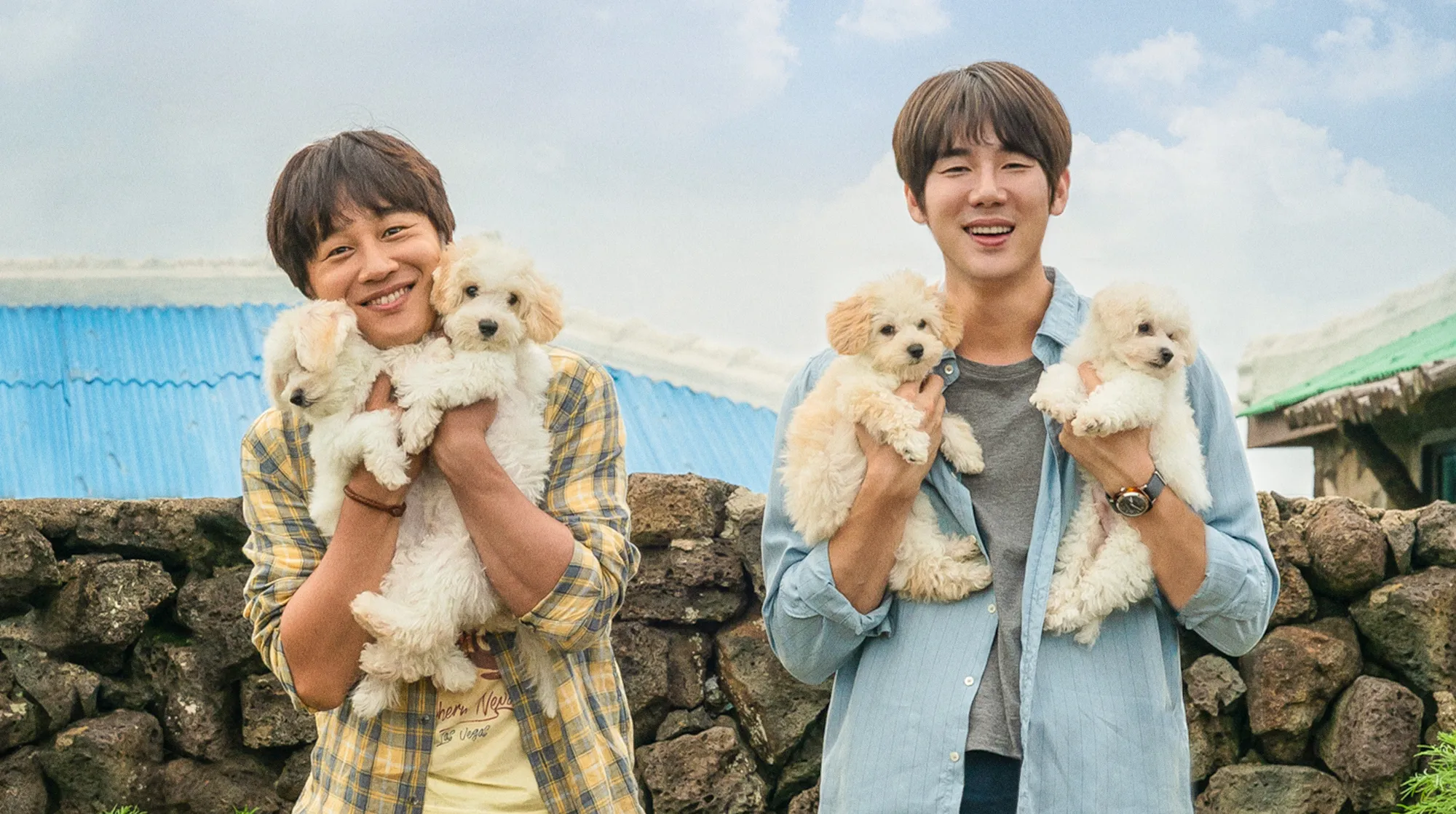 Film My Heart Puppy (Image by Viki)