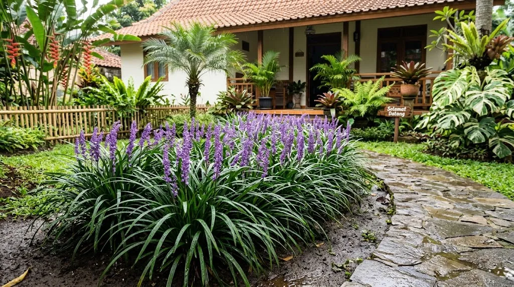 Liriope (Liriope muscari). [AI Generated]