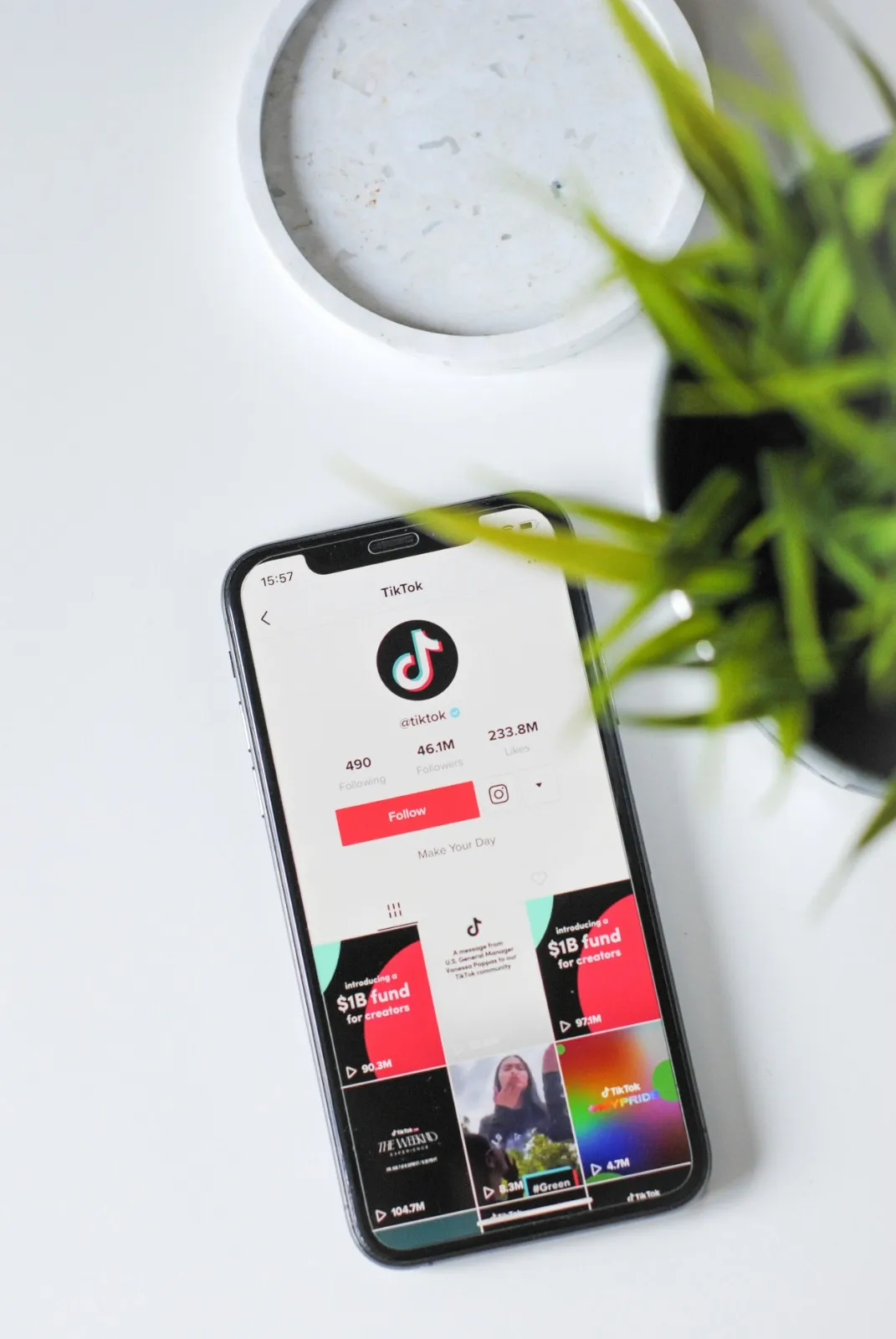 Halaman Profil Akun TikTok (credit: unsplash)