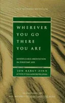 Wherever You Go, There You Are oleh Jon Kabat-Zinn - Google Books