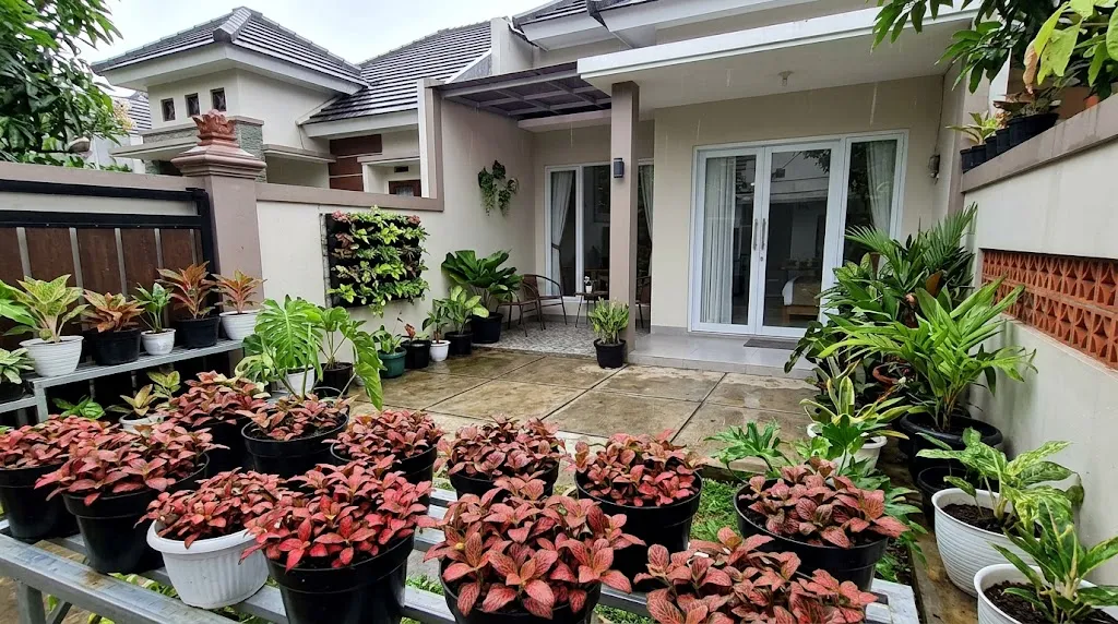 Tanaman Hias dengan Daun Berurat Merah. (AI Generated)
