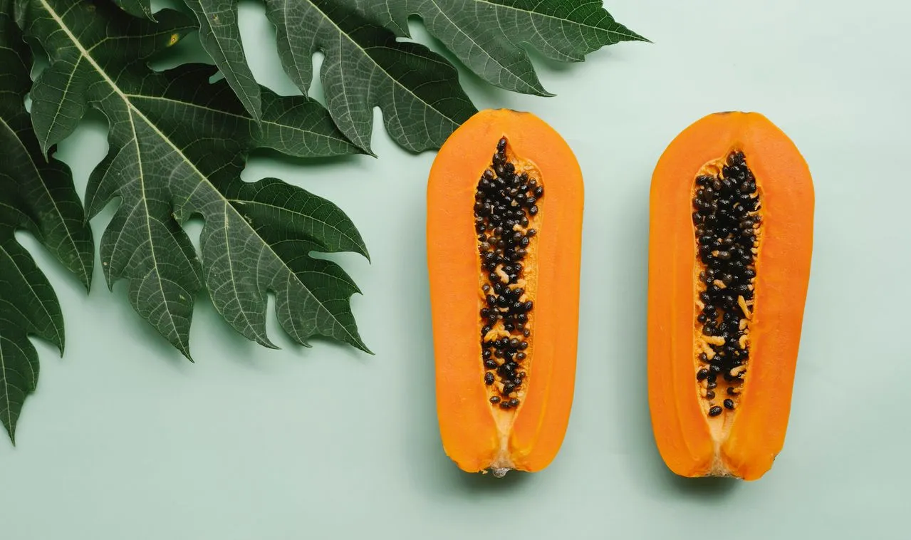 Cara Menanam Pepaya California agar Berbuah Lebat (Foto: Pexels)