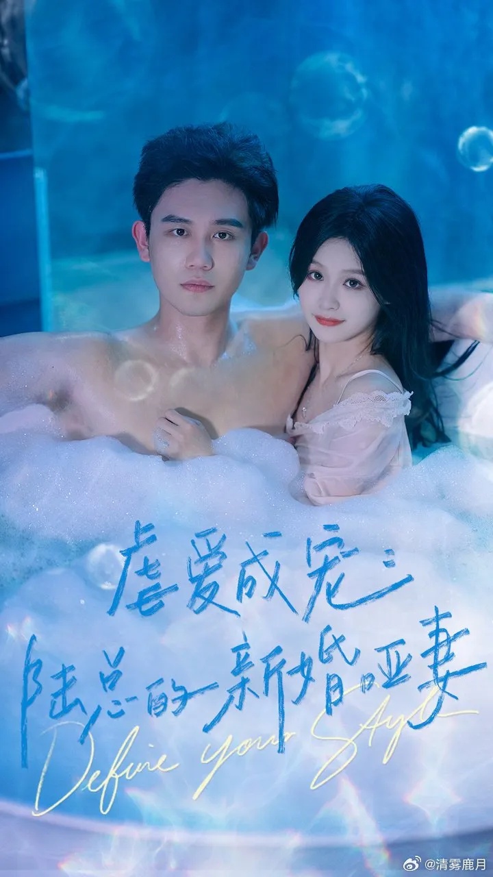 CEO's Mute Bride (mydramalist.com)