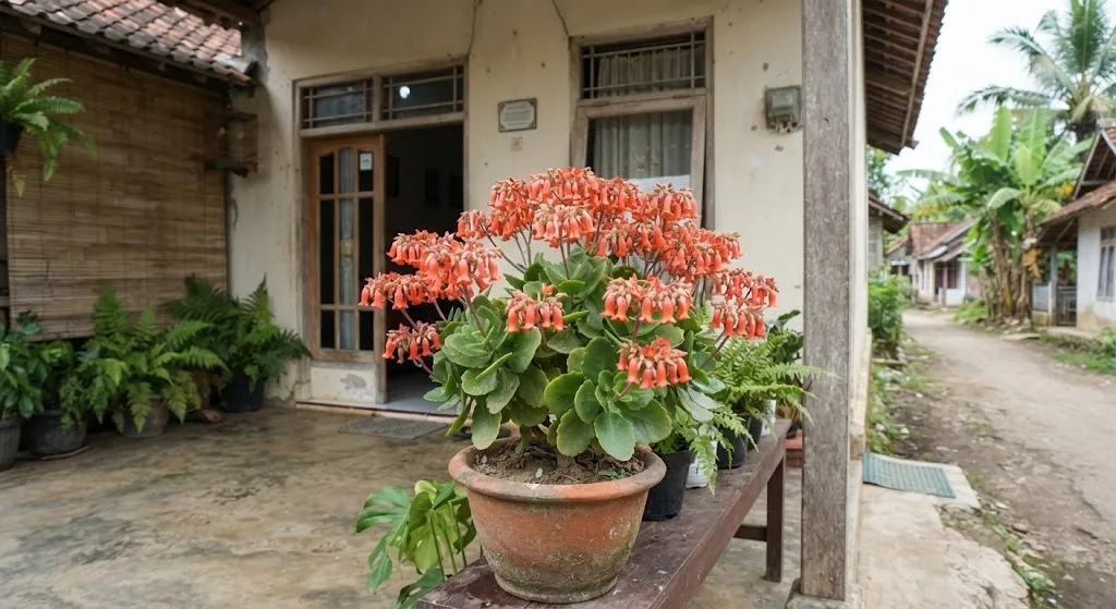 Tanaman dengan bunga berbentuk seperti lonceng dan cocok sebagai tanaman hias model kalanchoe (AI generated)
