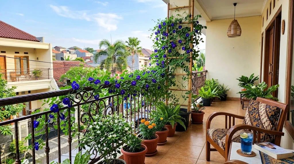 Tanaman bunga telang untuk mempercantik balkon. [AI Generated]