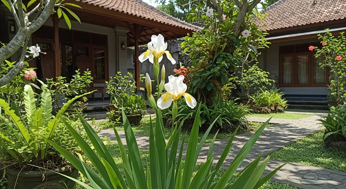 African Iris. [AI Generated]