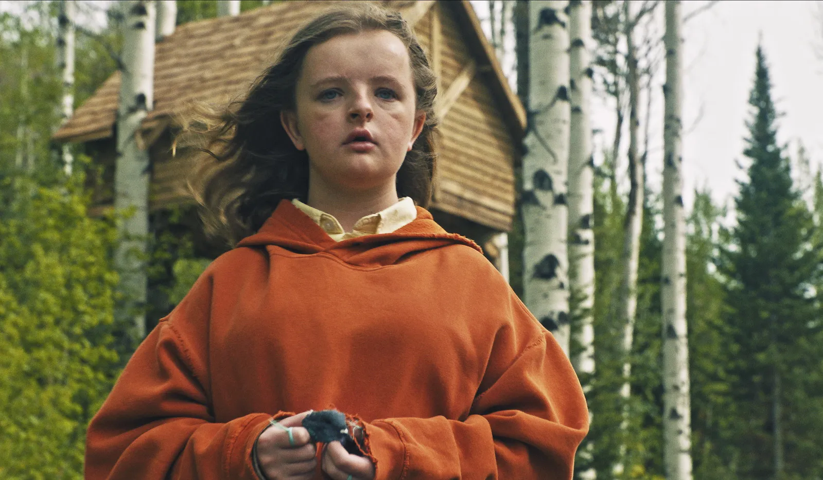 9 Film Horor Tanpa Jumpscare yang Cocok untuk Penonton Kagetan/ Hereditary (2018) IMDb
