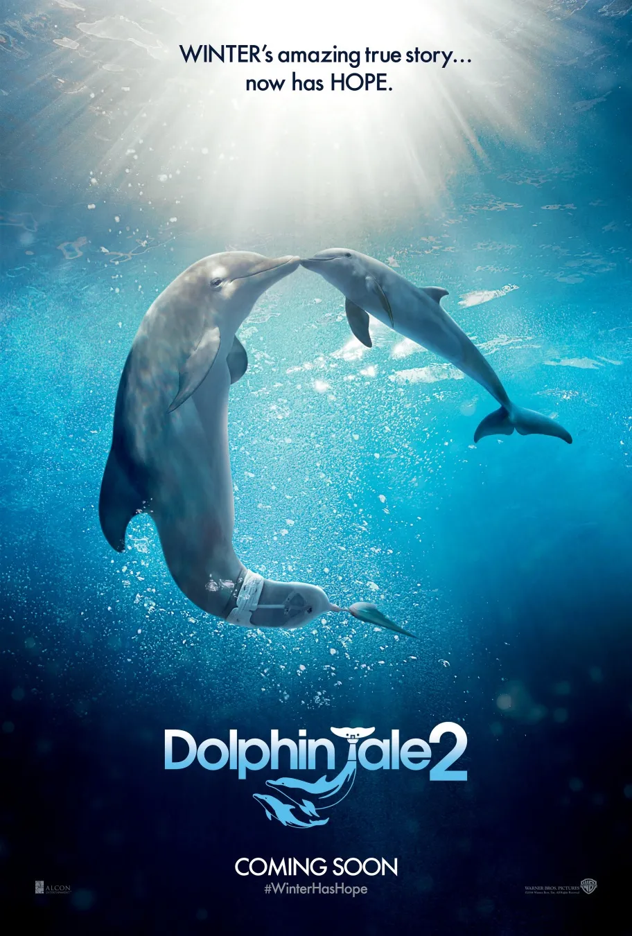 Dolphin Tale 2 (2014). (IMDb)