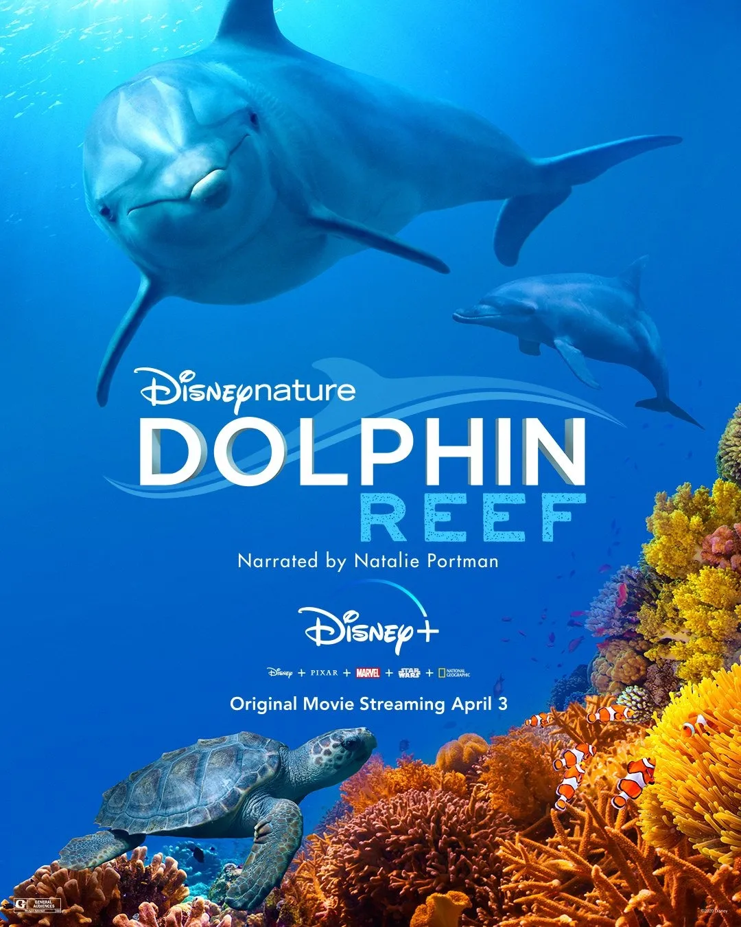 Dolphin Reef (2018). (IMDb)