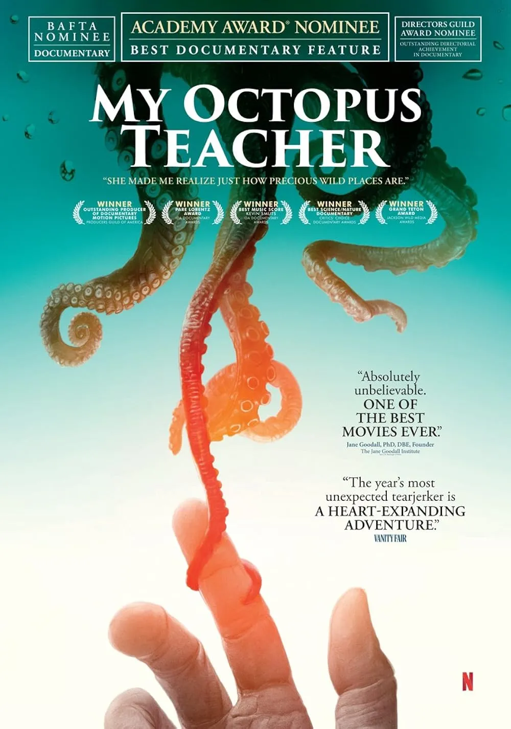 My Octopus Teacher (2020). (IMDb)