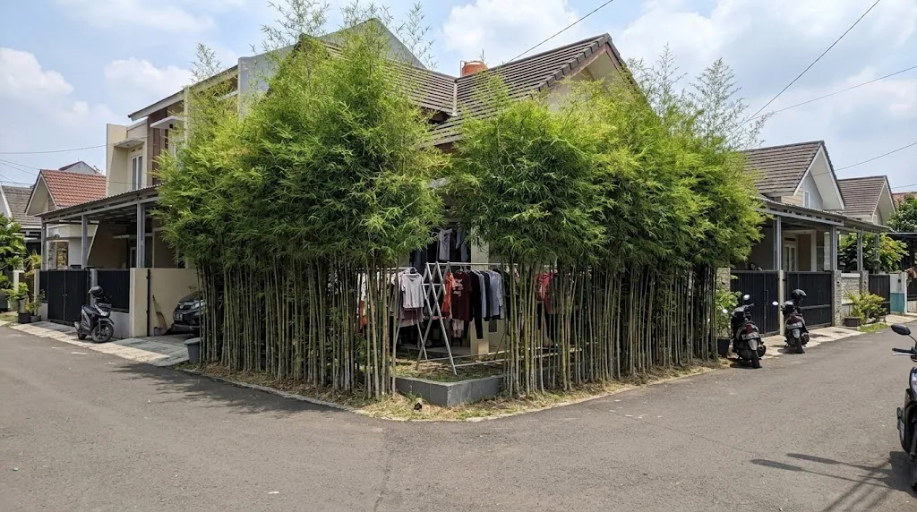 Tanaman bambu Jepang untuk membuat area jemur tidak terlihat dari jalan. [AI Generated]