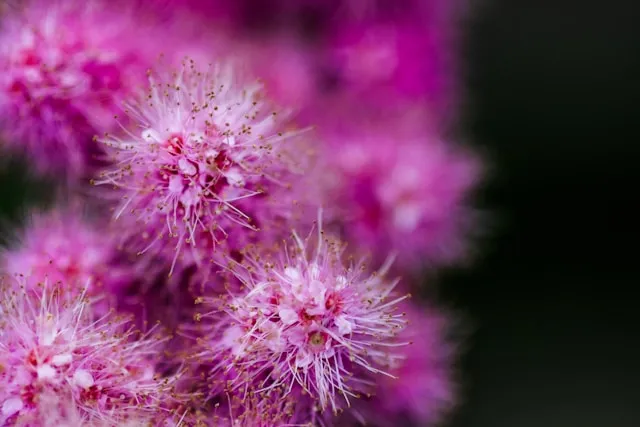 Strategi Optimasi Caption untuk Media Sosial (c) unsplash.com