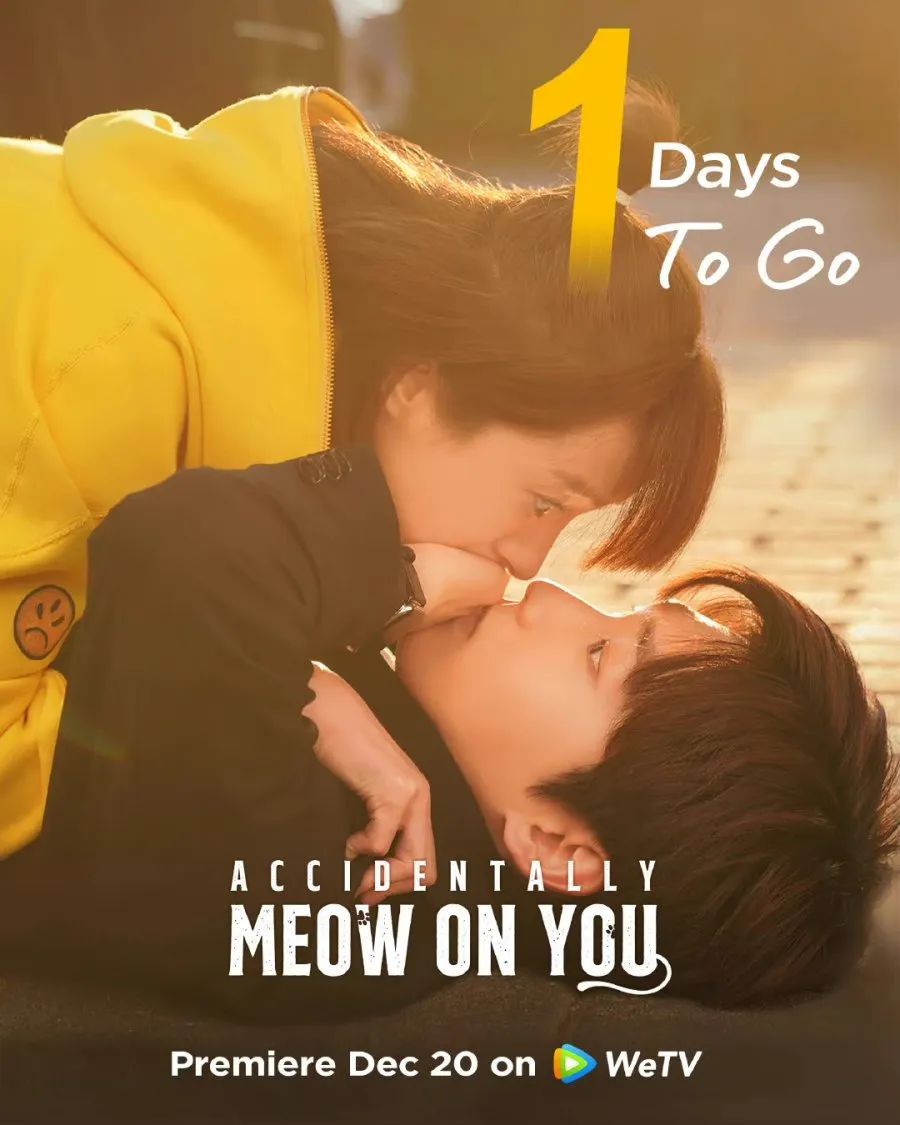 Accidentally Meow on You- copyright: mydramalist