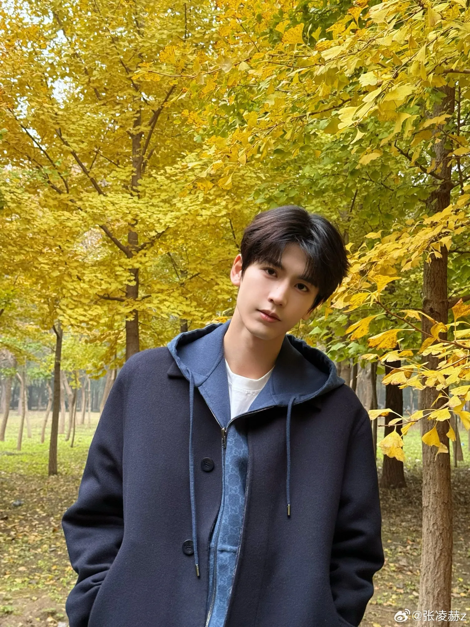 Temukan akun Instagram aktor China tampan yang jadi idola (credit:weibo)