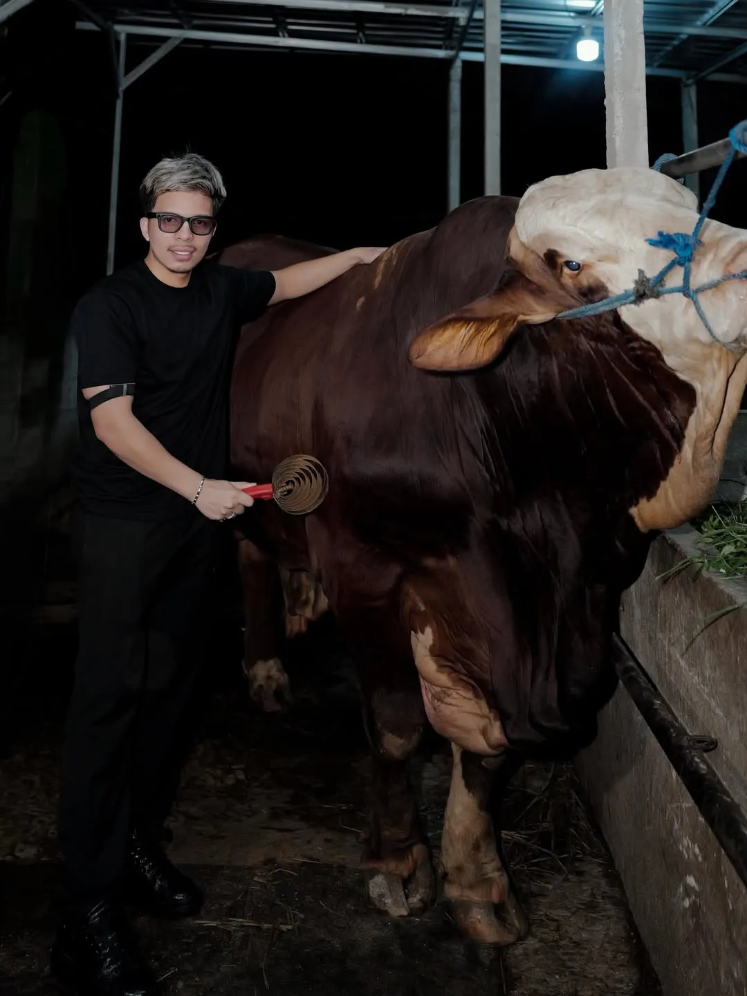 Atta Halilintar Bersama Sapi Kurban © instagram.com/attahalilintar
