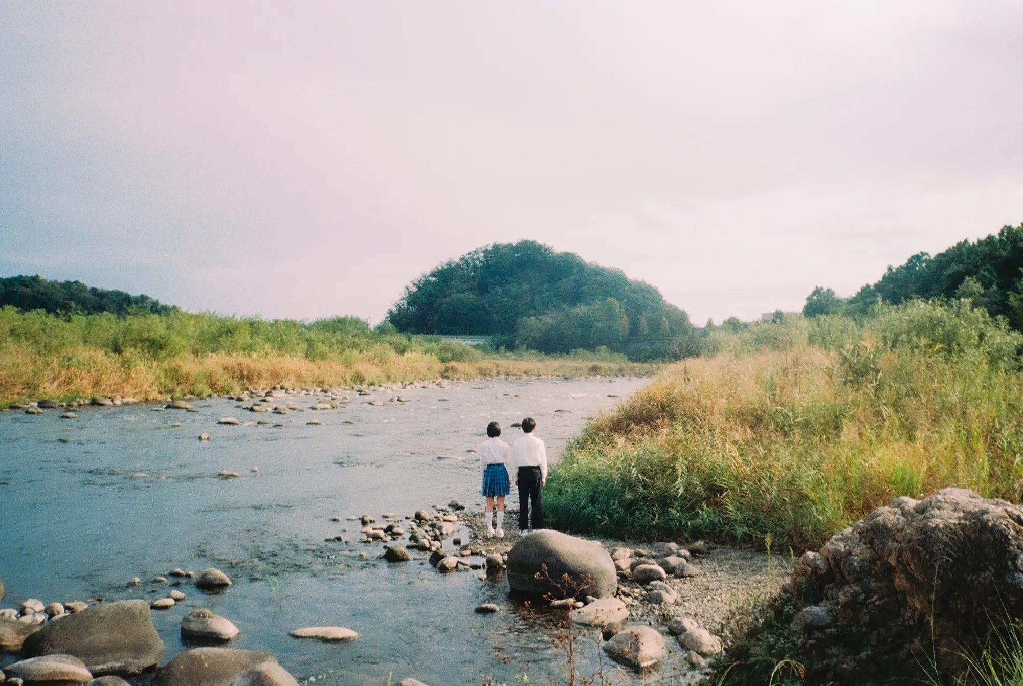 Visual 'Aku No Hana' (Credit: x.com/@tx_akunohana)