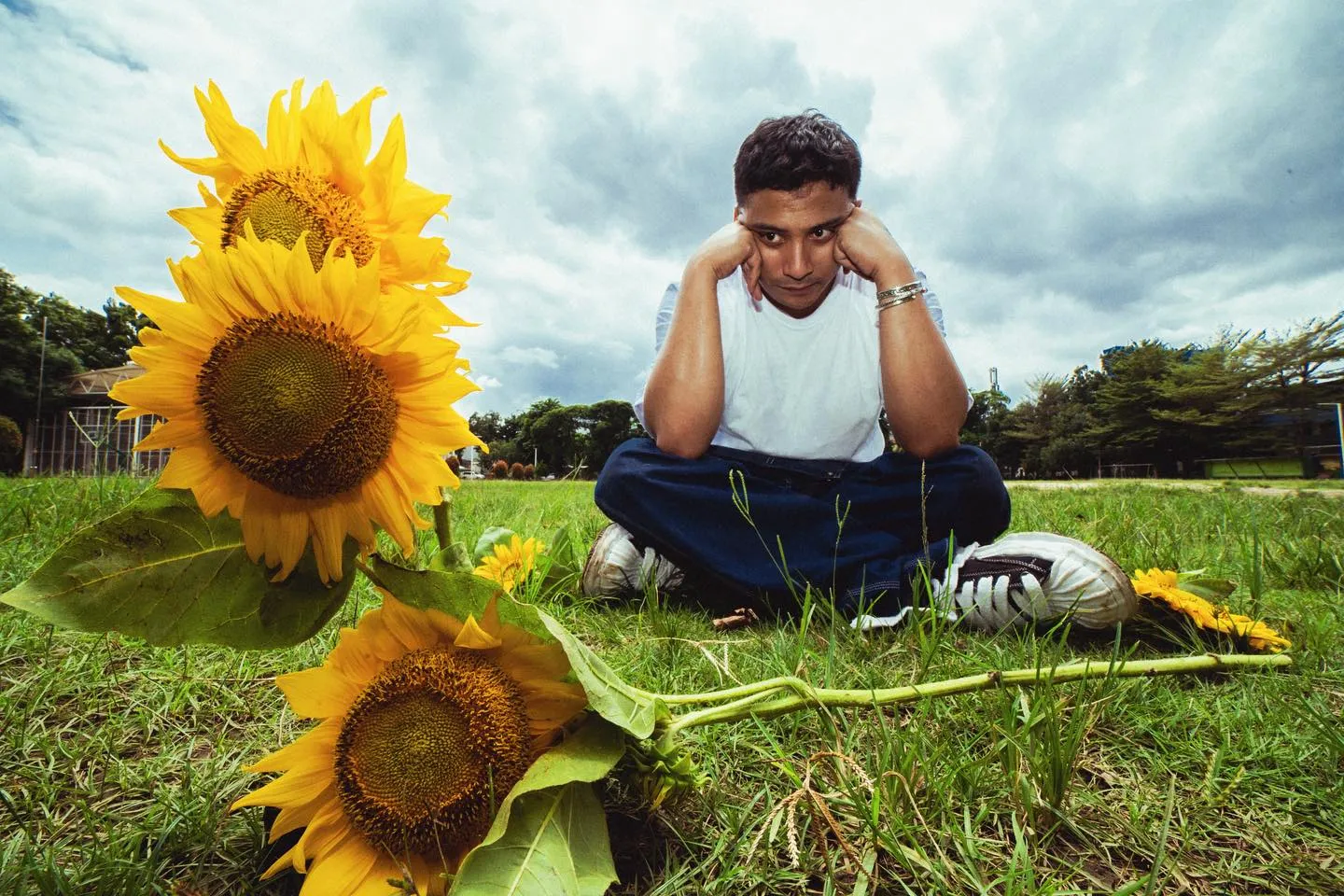 Tentang lagu Gala Bunga Matahari  (credit: Youtube.com/Sal Priadi)