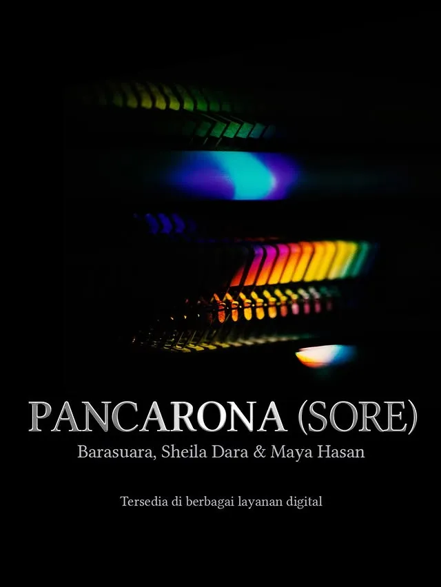 Pancarona (instagram/barasuara)