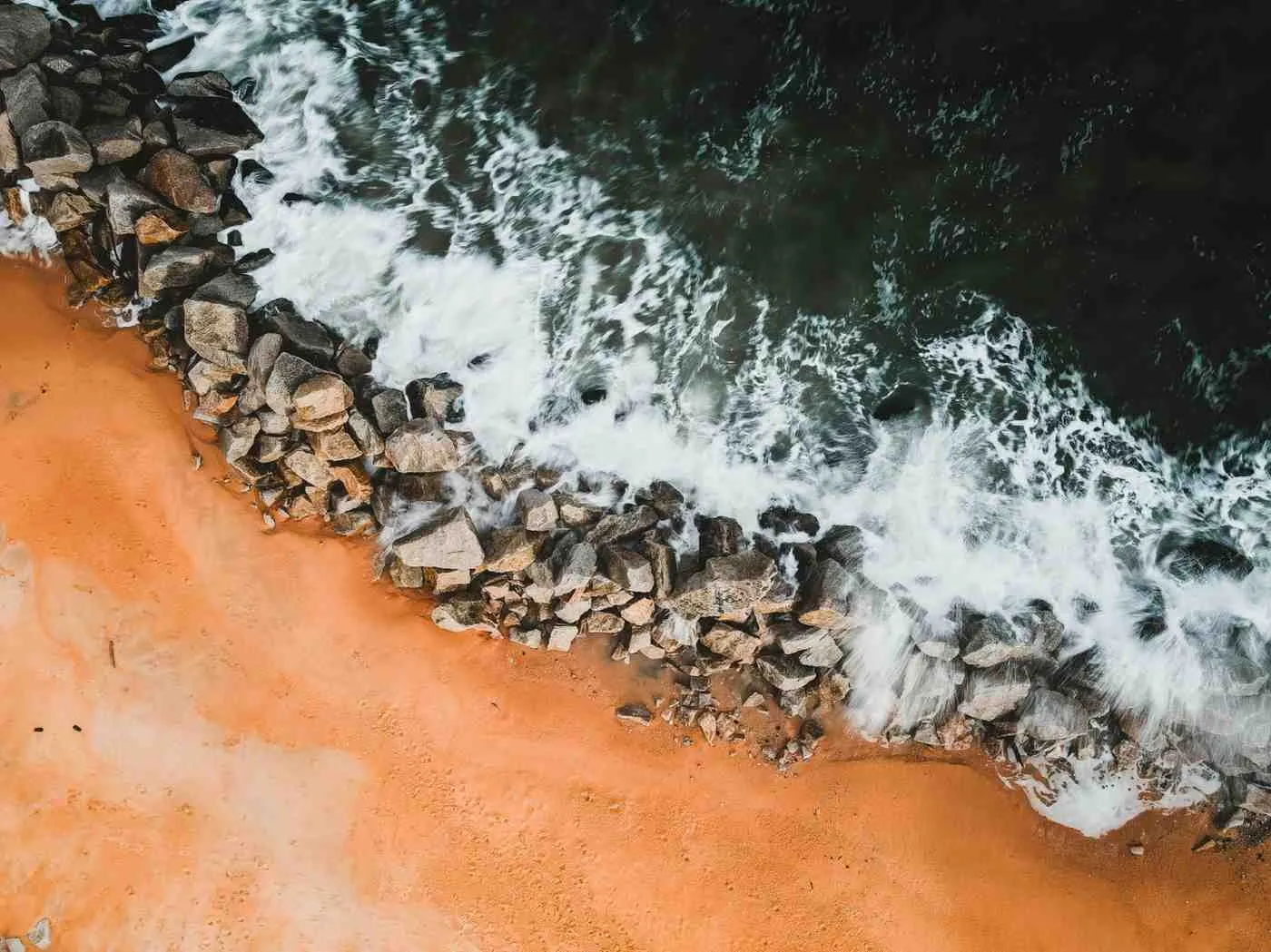 (c) Ilustrasi Pexels