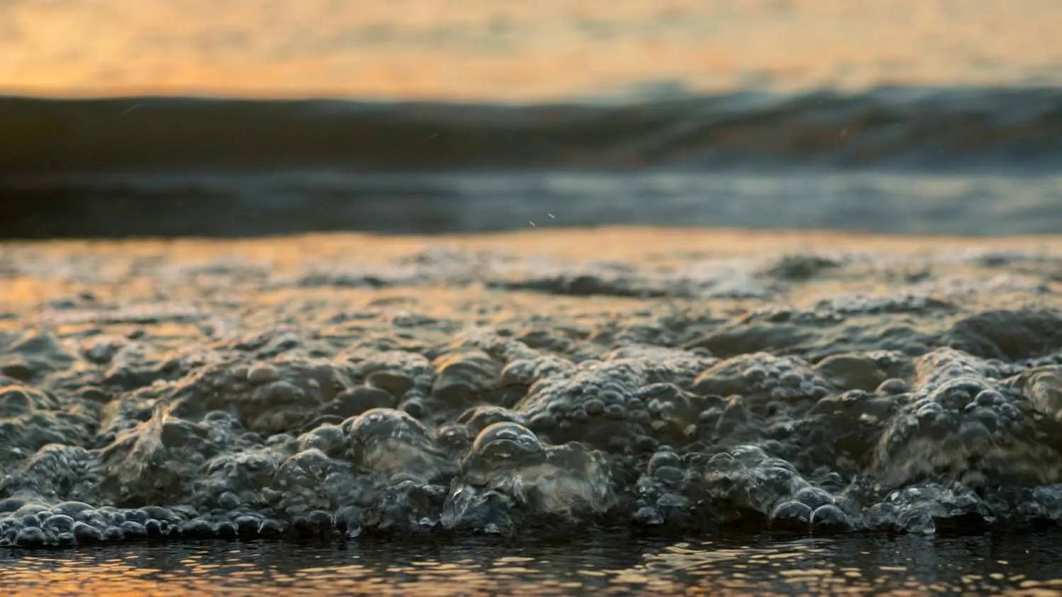 (c) Ilustrasi Pexels